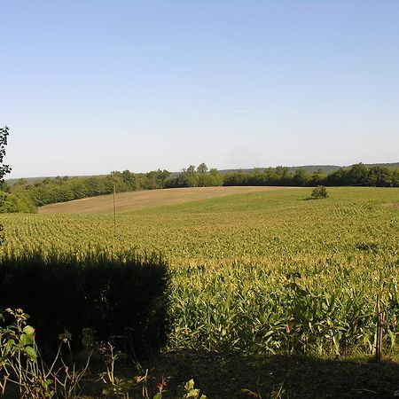 Chez Annie Guest House Saint-Avit-Riviere Bagian luar foto