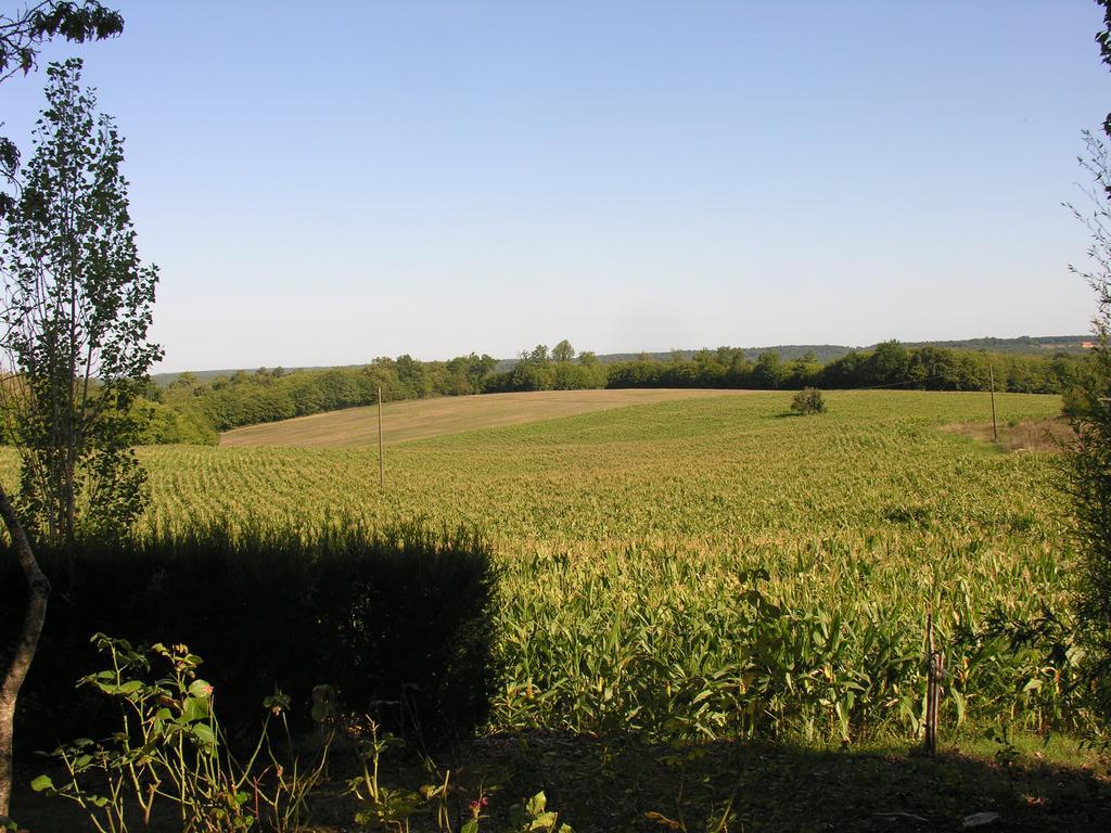 Chez Annie Guest House Saint-Avit-Riviere Bagian luar foto